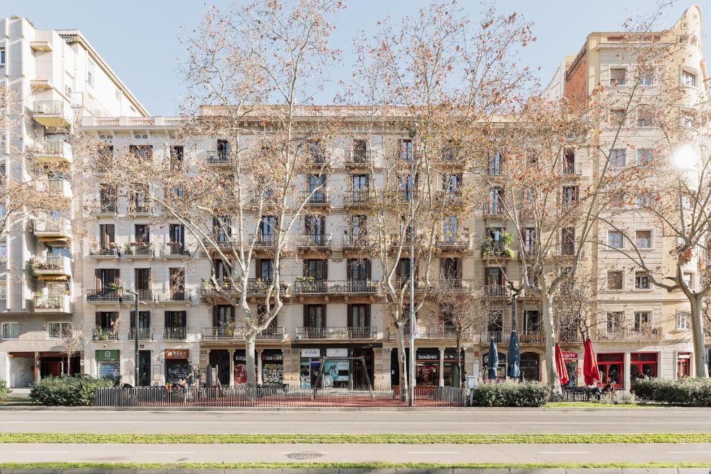 Ola Living Arc de Triomf - 4
