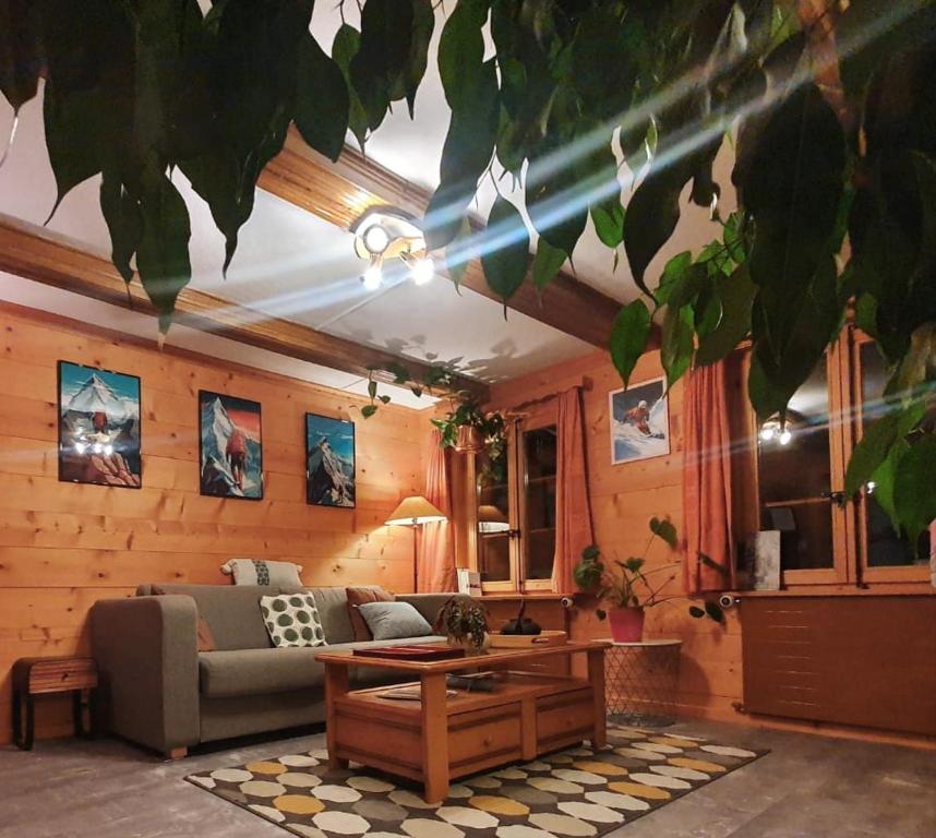 Chalet le Muveran - 3