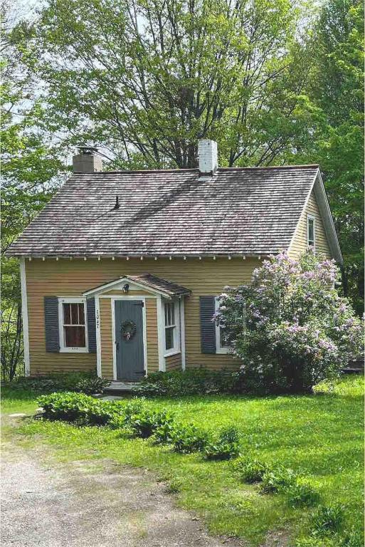 Yellow Sweetie at the Base of Stratton, Jamaica