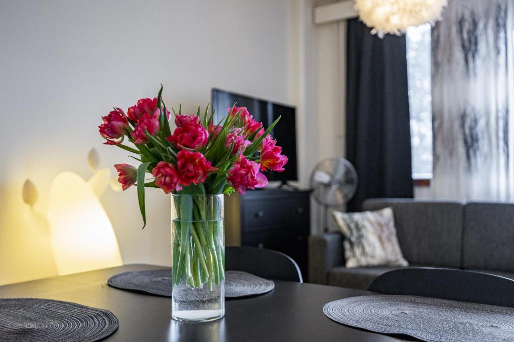 Sampo Studios, Rovaniemi