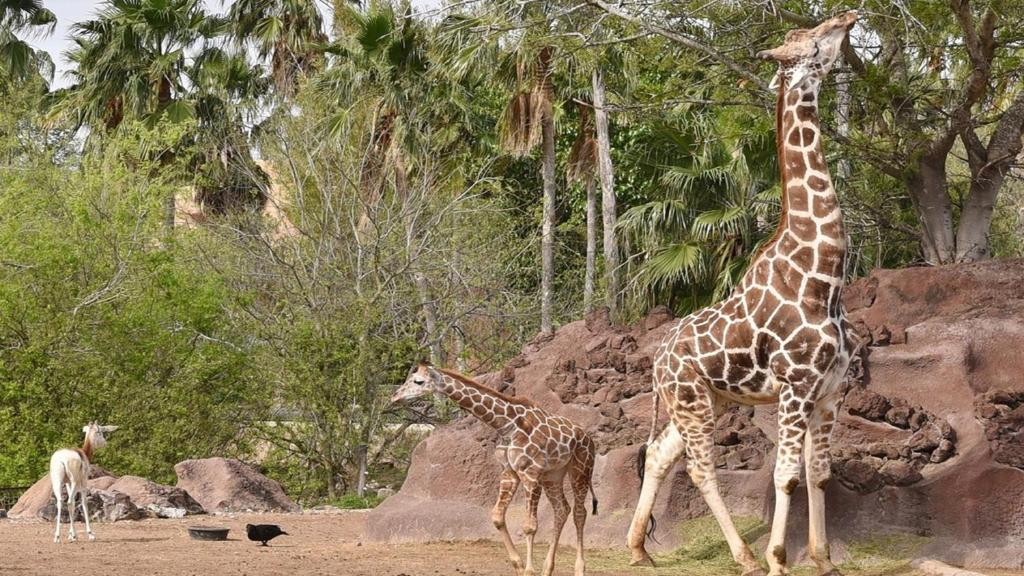 周辺観光スポット