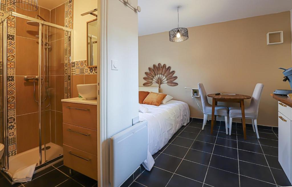 Studio Pouvillon proche Zenith - Centre Toulousain - 4