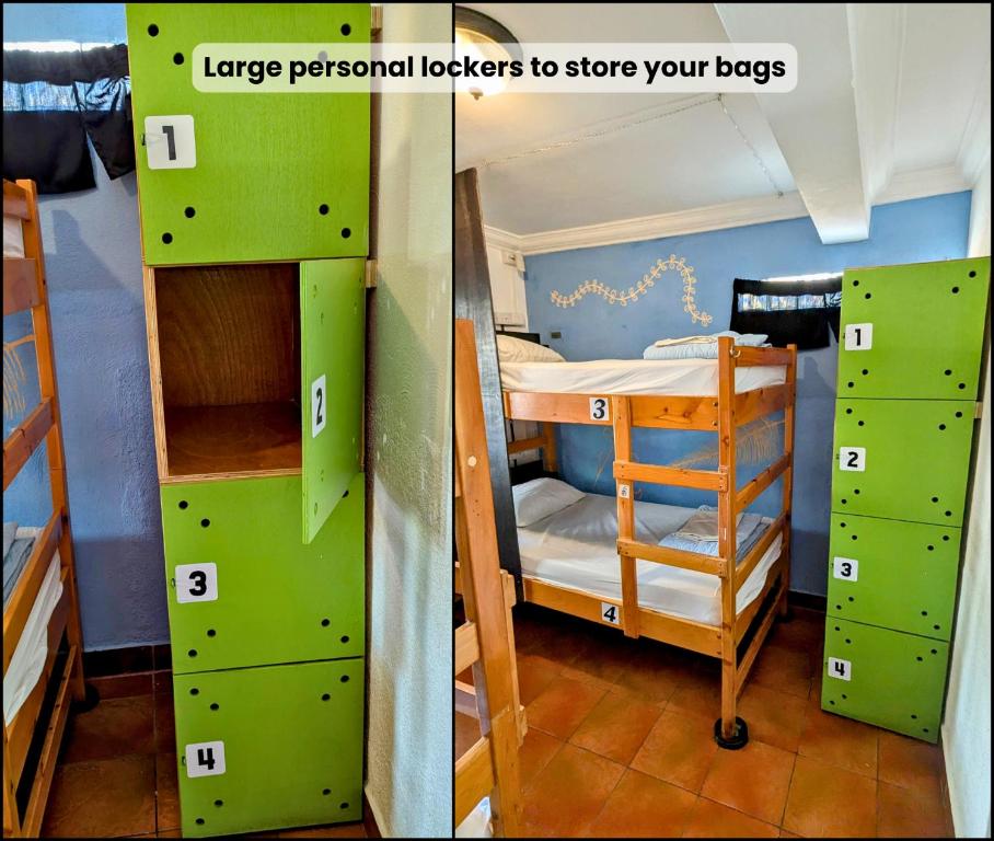 Bed in 4-Bed Mixed Dormitory Room