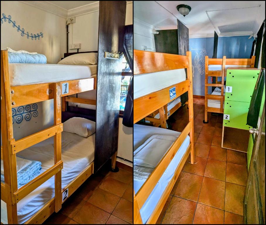 Bed in 6-Bed Mixed Dormitory Room