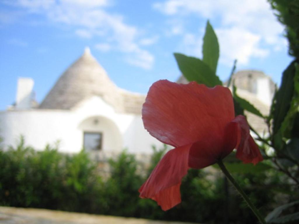 La Trullesa Holiday photo