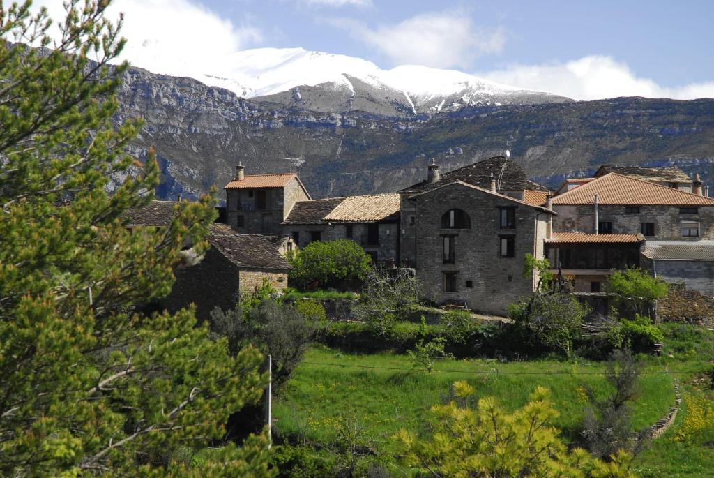 O Chardinet d'a Formiga - 4