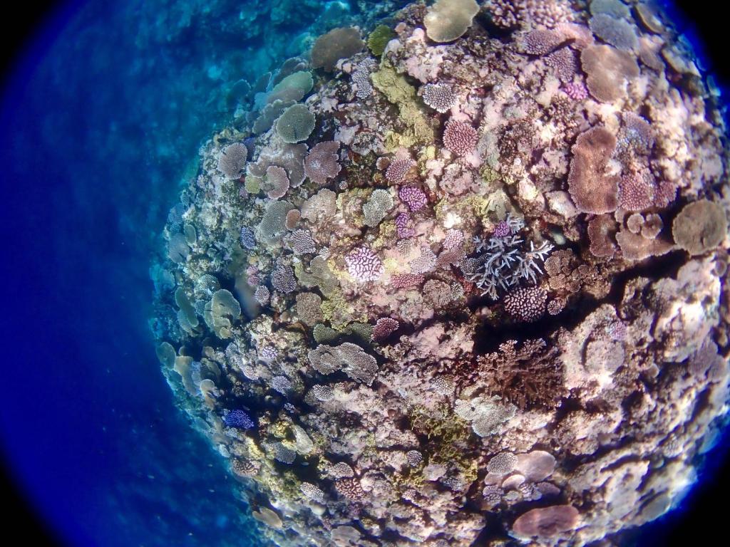 Surrounding environment