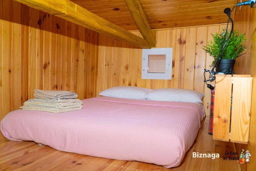 La Casa del Druida - 2