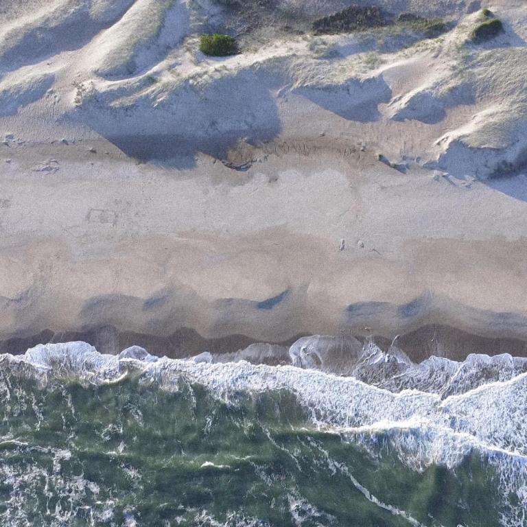 BUSCAVIDA Experience, Close to Cabo Polonio - 4