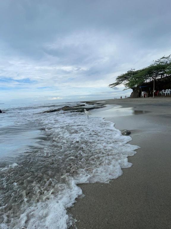 Aparta suite en Santa Marta - 2