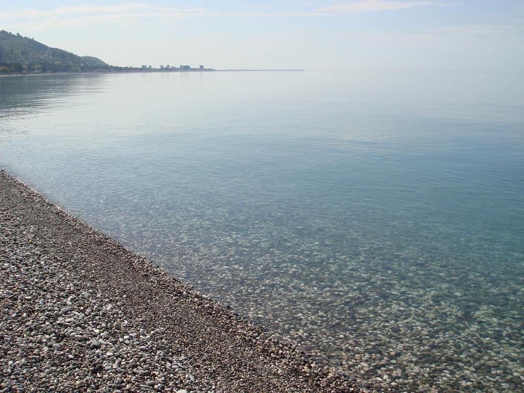 Hotel Continent Gagra photo
