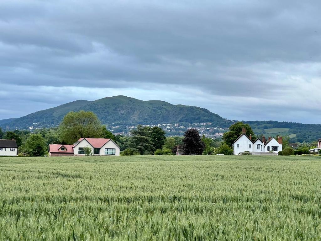 Deja View, Bransford