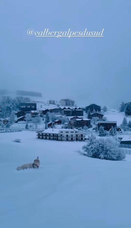 Studio lumineux avec vue et accès sur les pistes ! Coup de coeur - 1