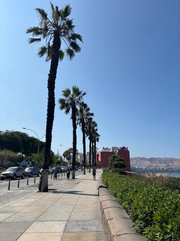 Modern apartment in Barranco - 2