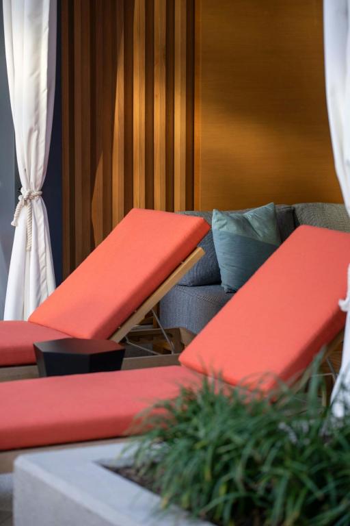 スイミングプール