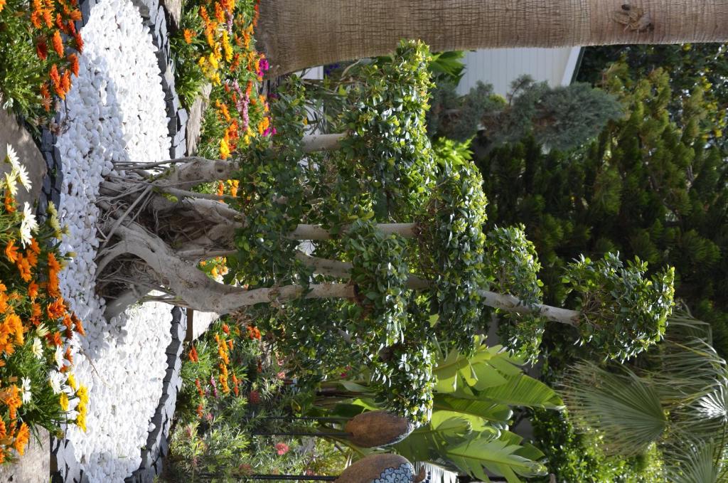 Calimera Side Resort — Hotel building in Side