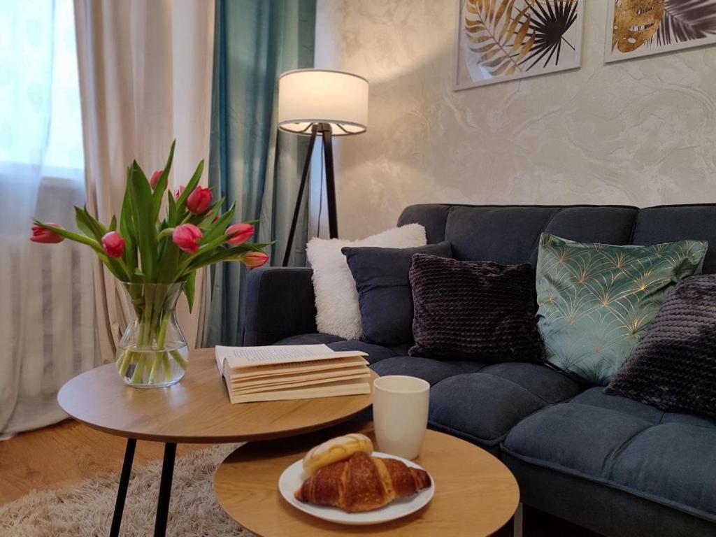 Narva Vahtra Apartment, Narva