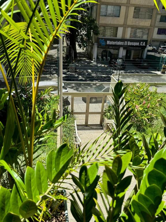 El Bosque-Chacao Apt con Terraza - 2