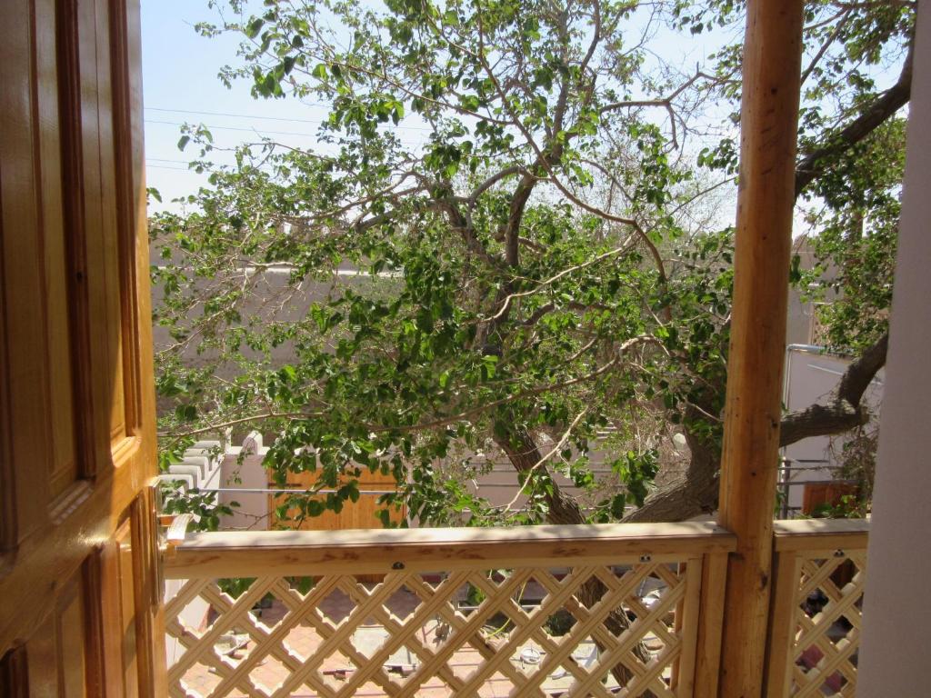 Guest House Orzu photo