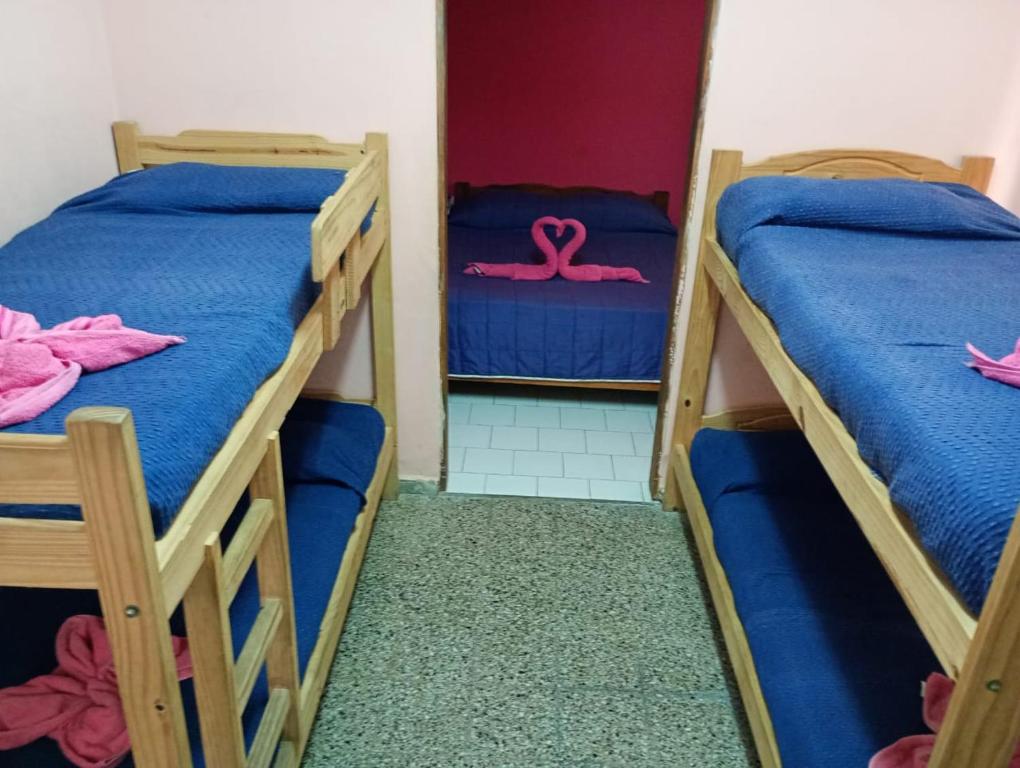 Palmeras Del Tuyu - 4