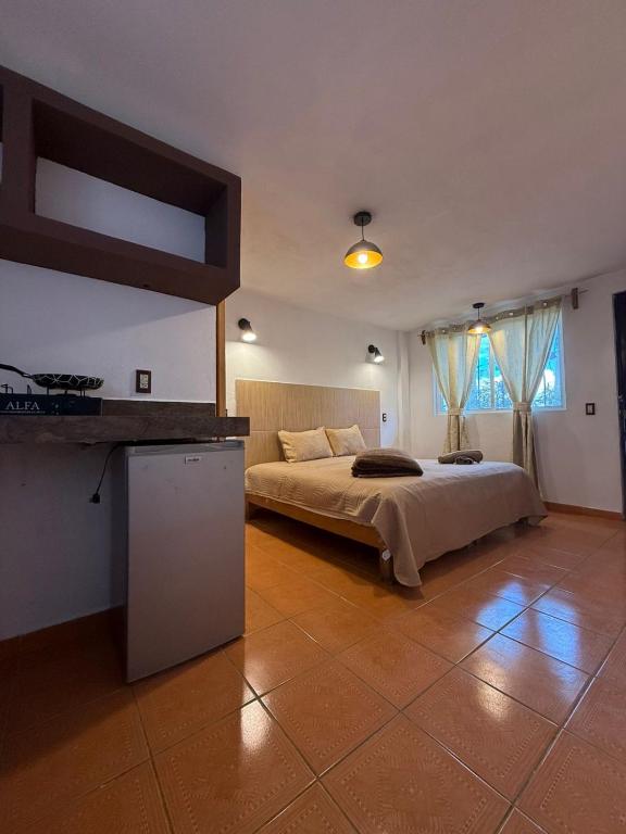 Apartamento 12, Toluca