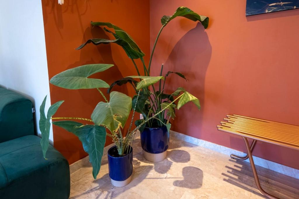 Spacious and pleasant 3 bedroom flat - 4