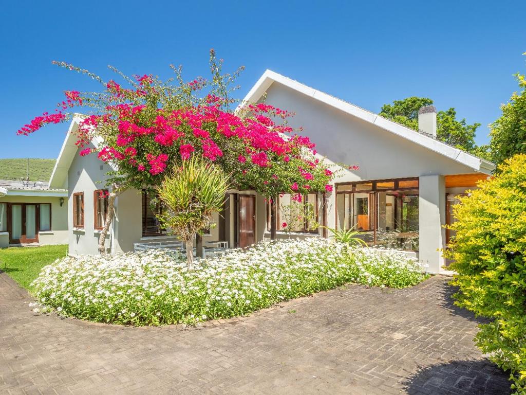 Scenic Escape, Knysna