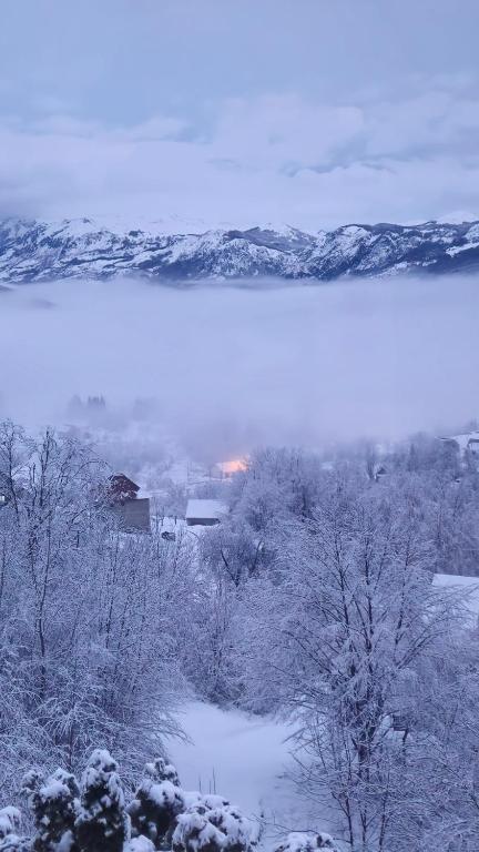 Best View Kolasin - 2