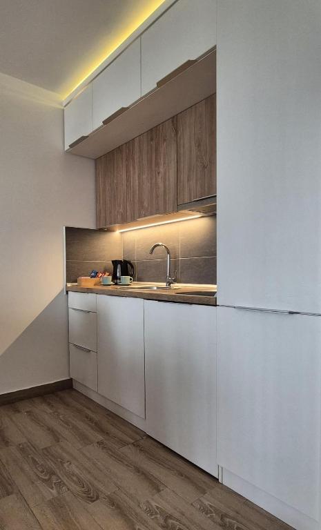 Kopaonik Lux Resident Hill Apartman A39 - 4