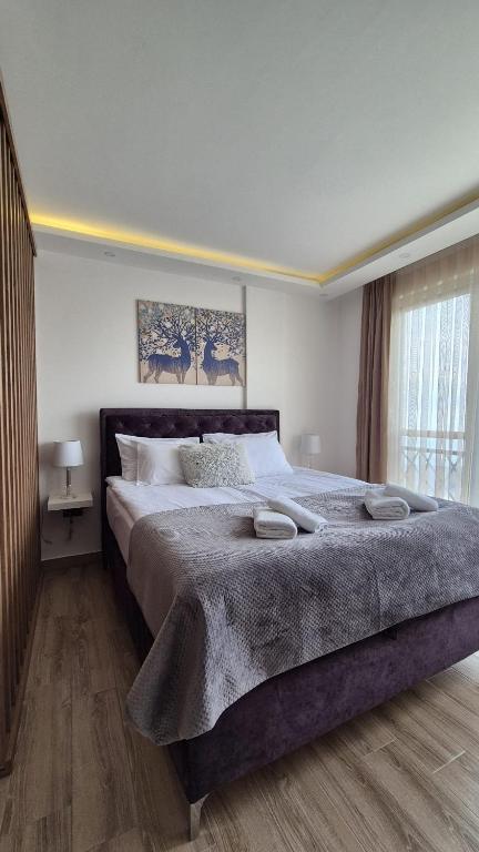 Kopaonik Lux Resident Hill Apartman A39 - 2