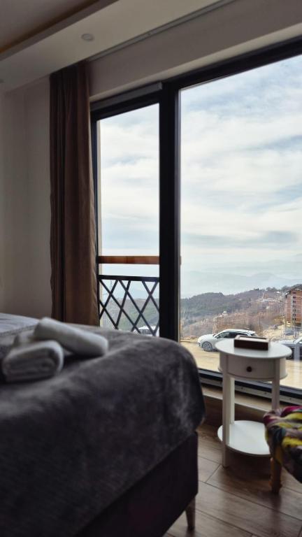 Kopaonik Lux Resident Hill Apartman A39 - 3