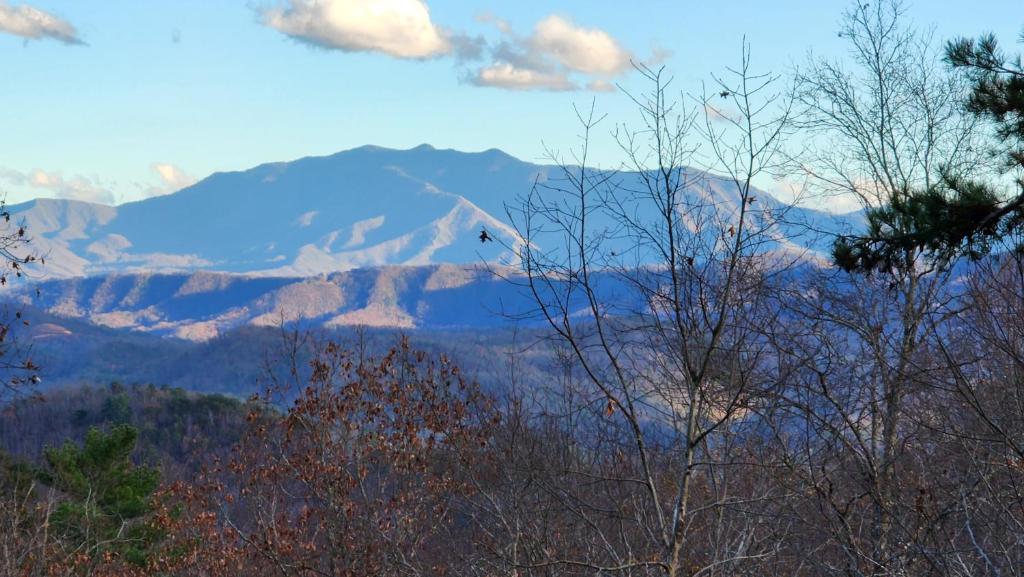 Lazy Bear Cabin, Sevierville