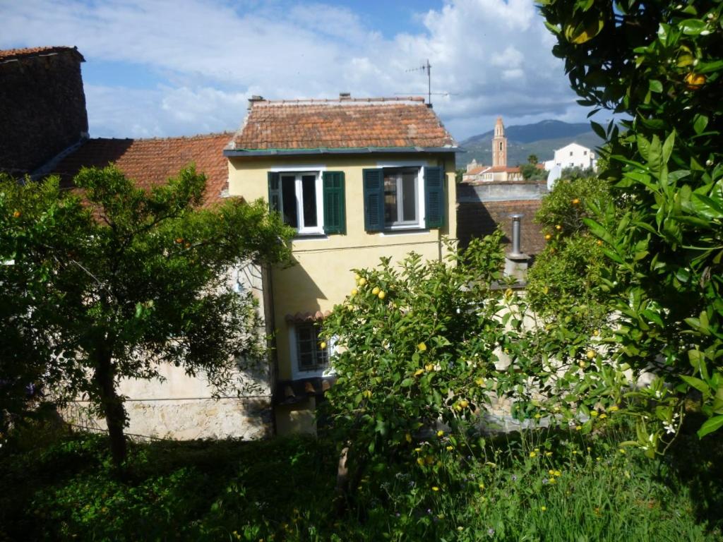 Ligurisches Rustico, umgeben von Olivenhainen am Dorfrand, Imperia