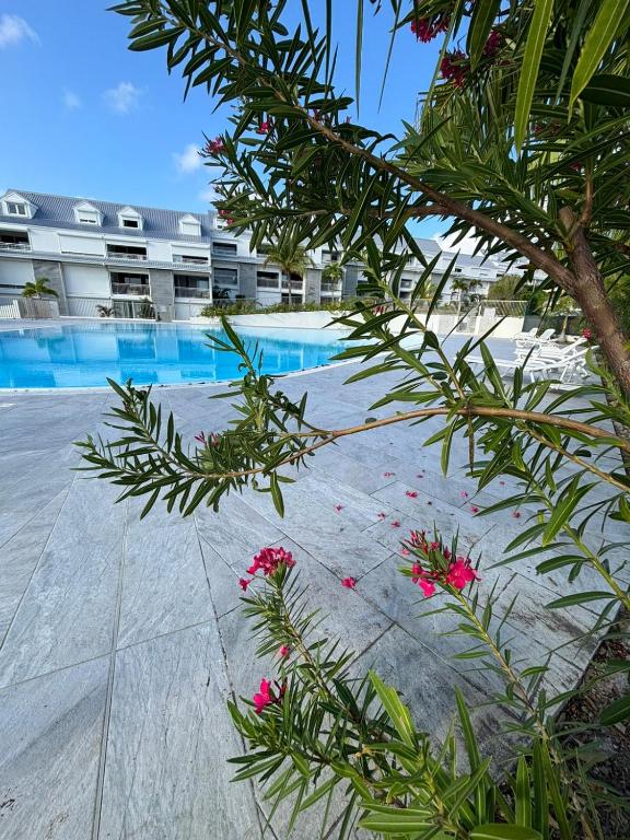 Easy Friendly SXM, Cul de Sac