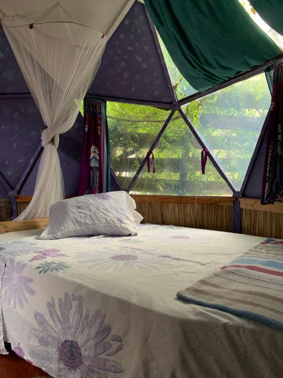 Domo minicasita de El Jardin Volador - 5