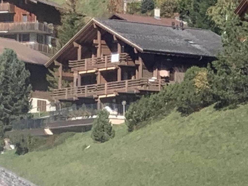 Chalet Orchis, Hasliberg Wasserwendi