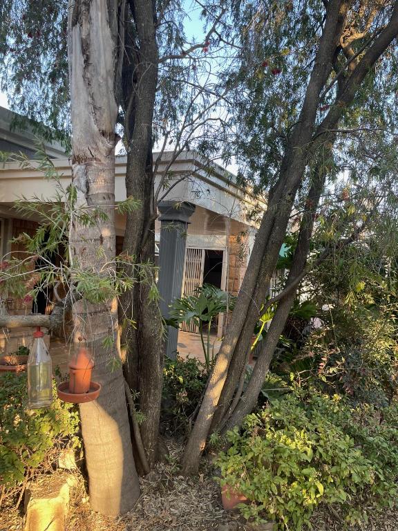 FairwayDrive, Johannesburg