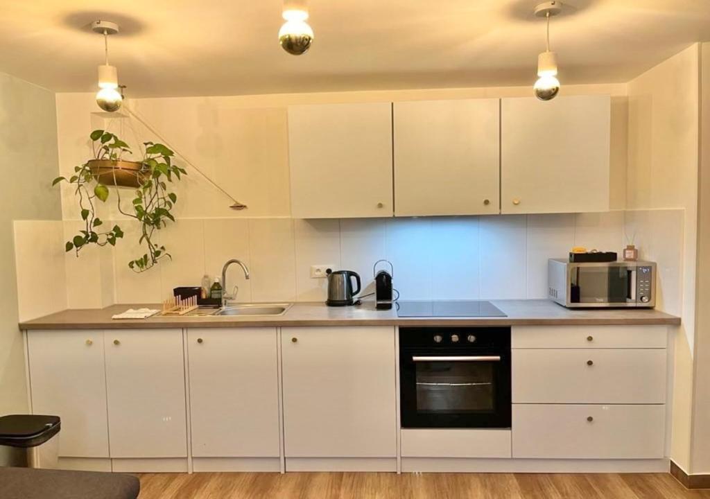 Appartement 2P Strasbourg centre - 2