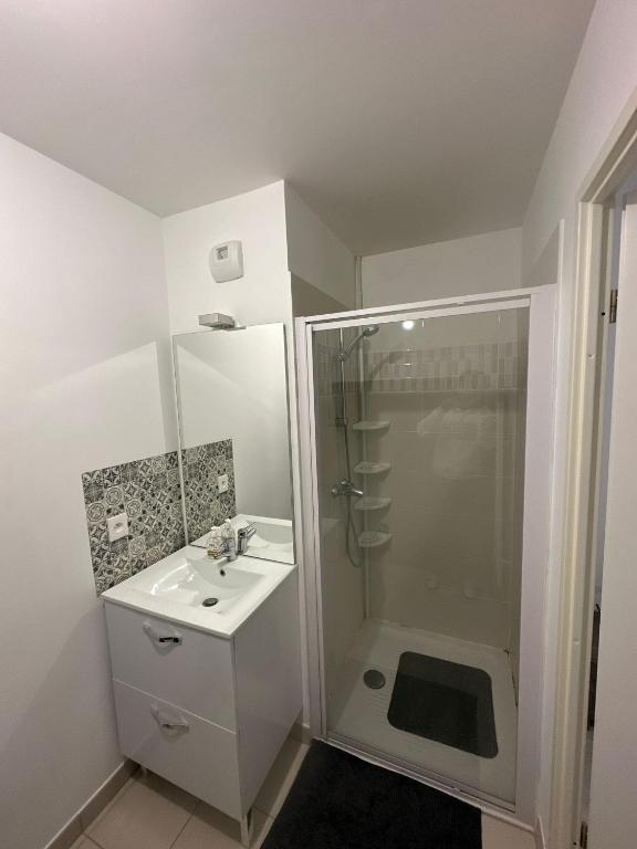 Chambre chez particulier à 5 min du CHU de Rouen - 4