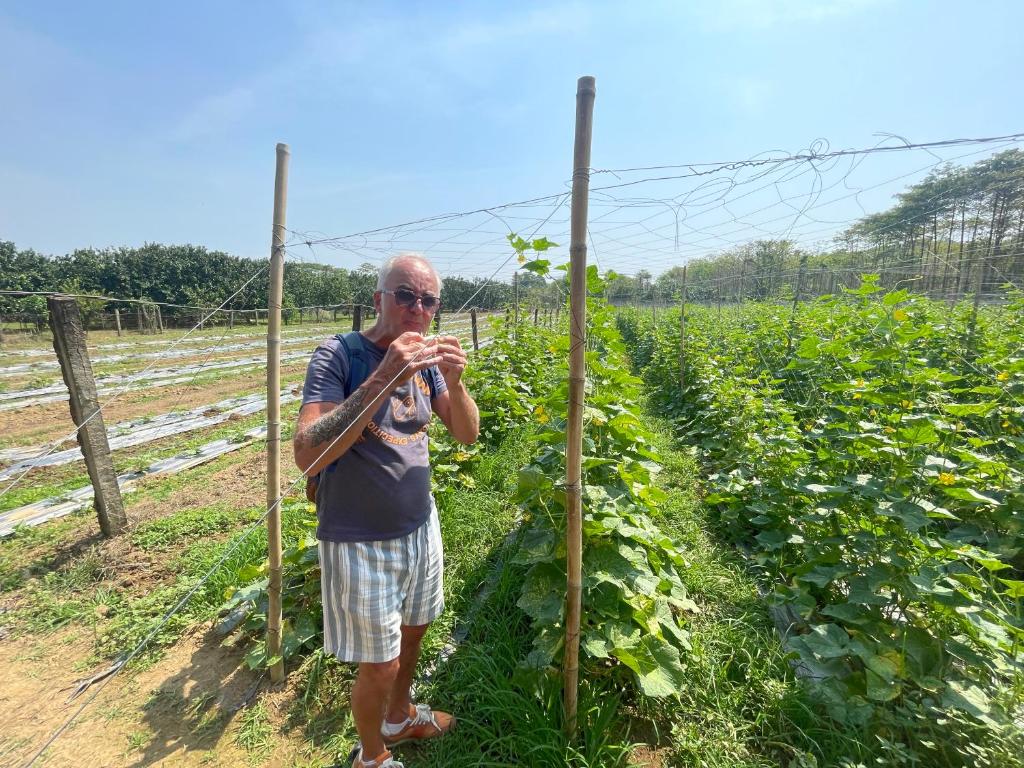 Surrounding environment