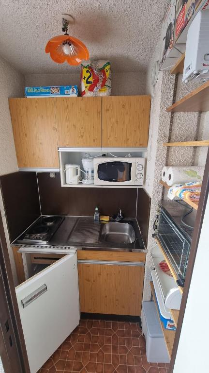 Studio Vue Montagne, Skis aux pieds, Garage inclus - 4