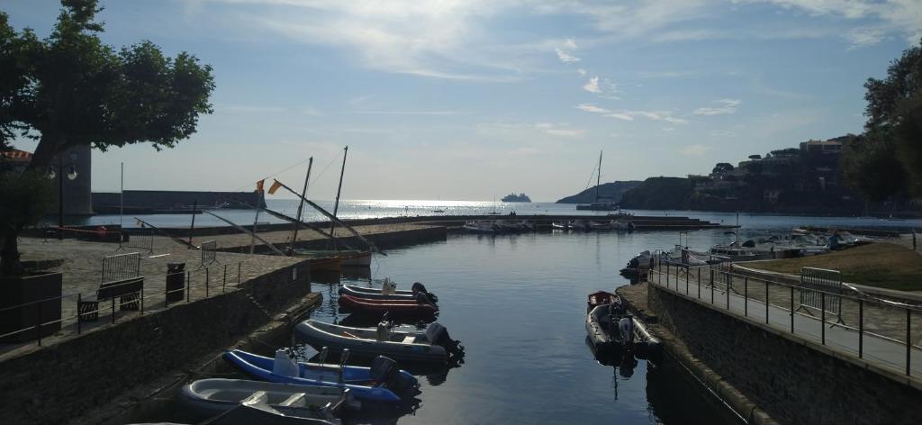 Appartement avec parking privatif à Collioure - 5