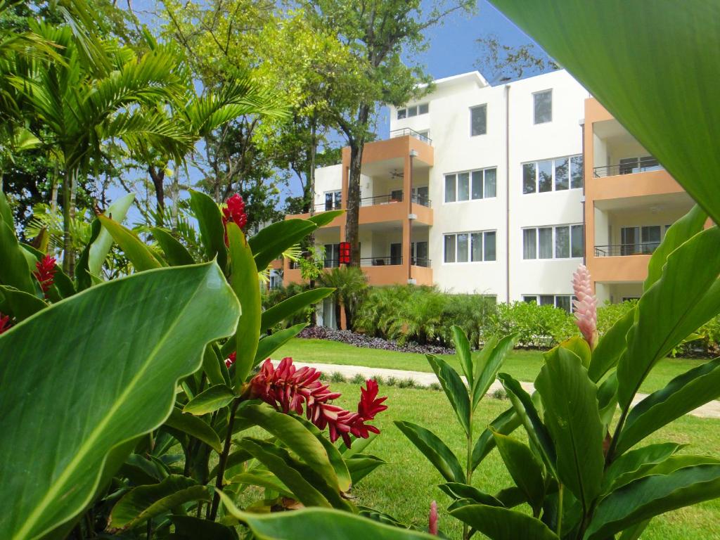 Surrounding environment