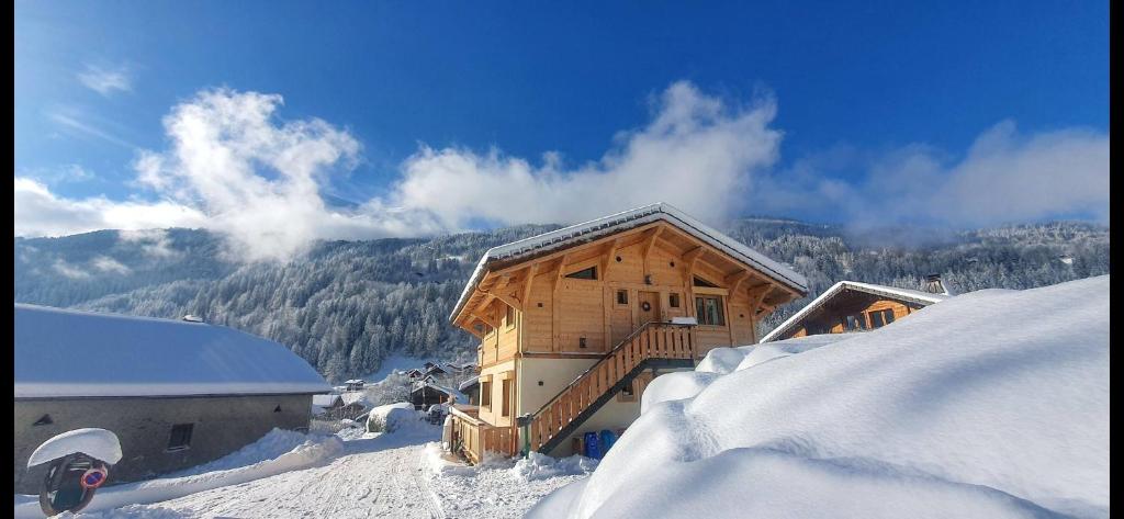 Chalet des Ours - 2 appartements 4 étoiles premium - 5 ou 6 personnes - 4