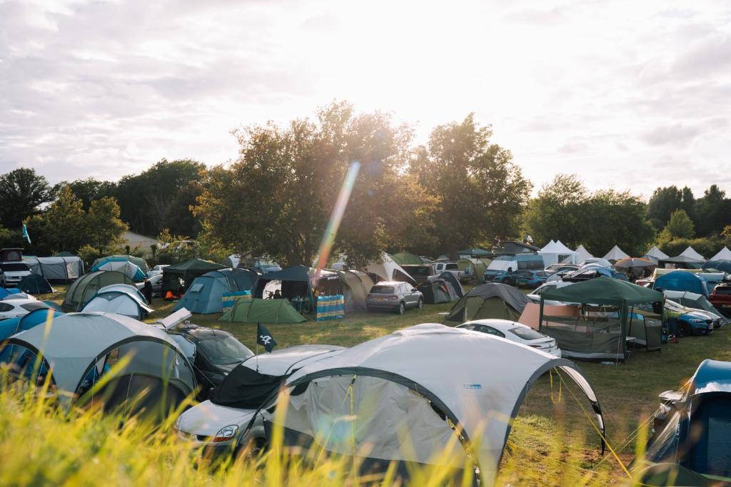 Bronze - Camping - 4