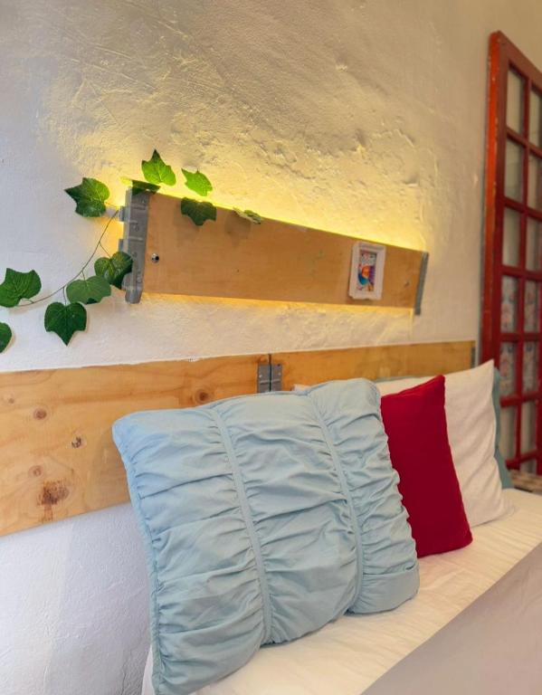 CONDESA Host - 4