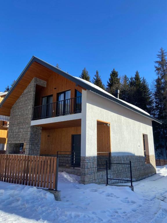 Home in the Snow, Bakuriani