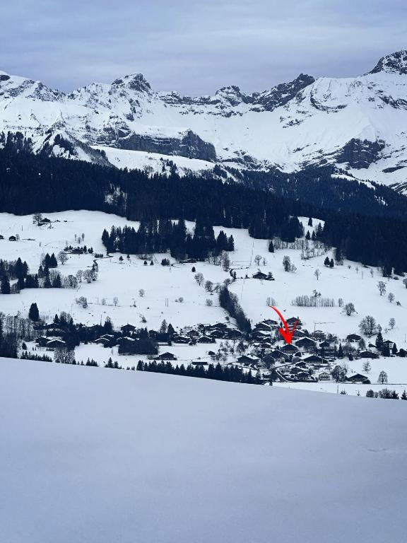 Chalet à Megève-Vauvray - Grands Appartements , vue Mont Blanc - 5