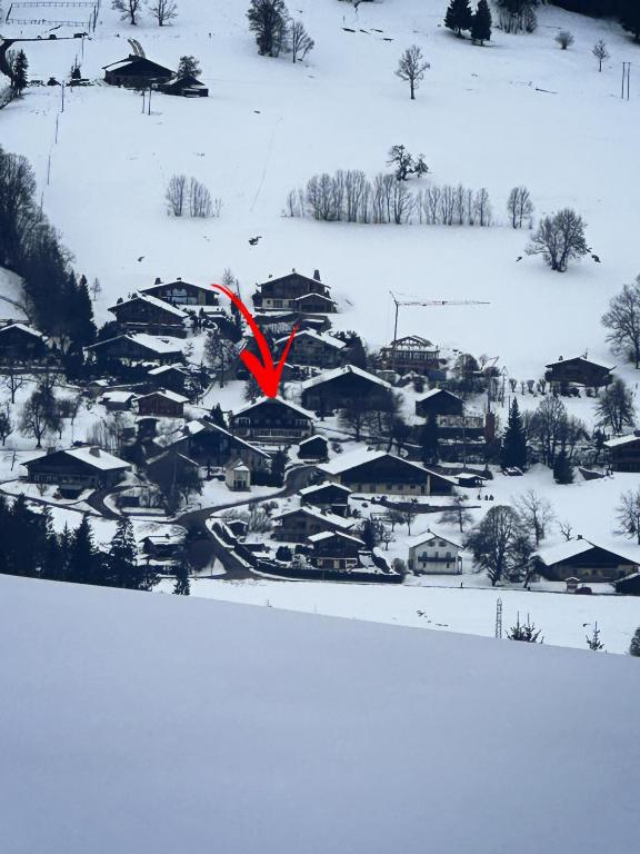Chalet à Megève-Vauvray - Grands Appartements , vue Mont Blanc - 4