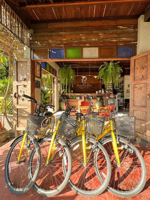 Sports and activities